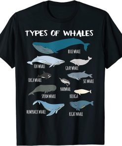 Types Of Whales Cute Ocean Mammals Guide T Shirt